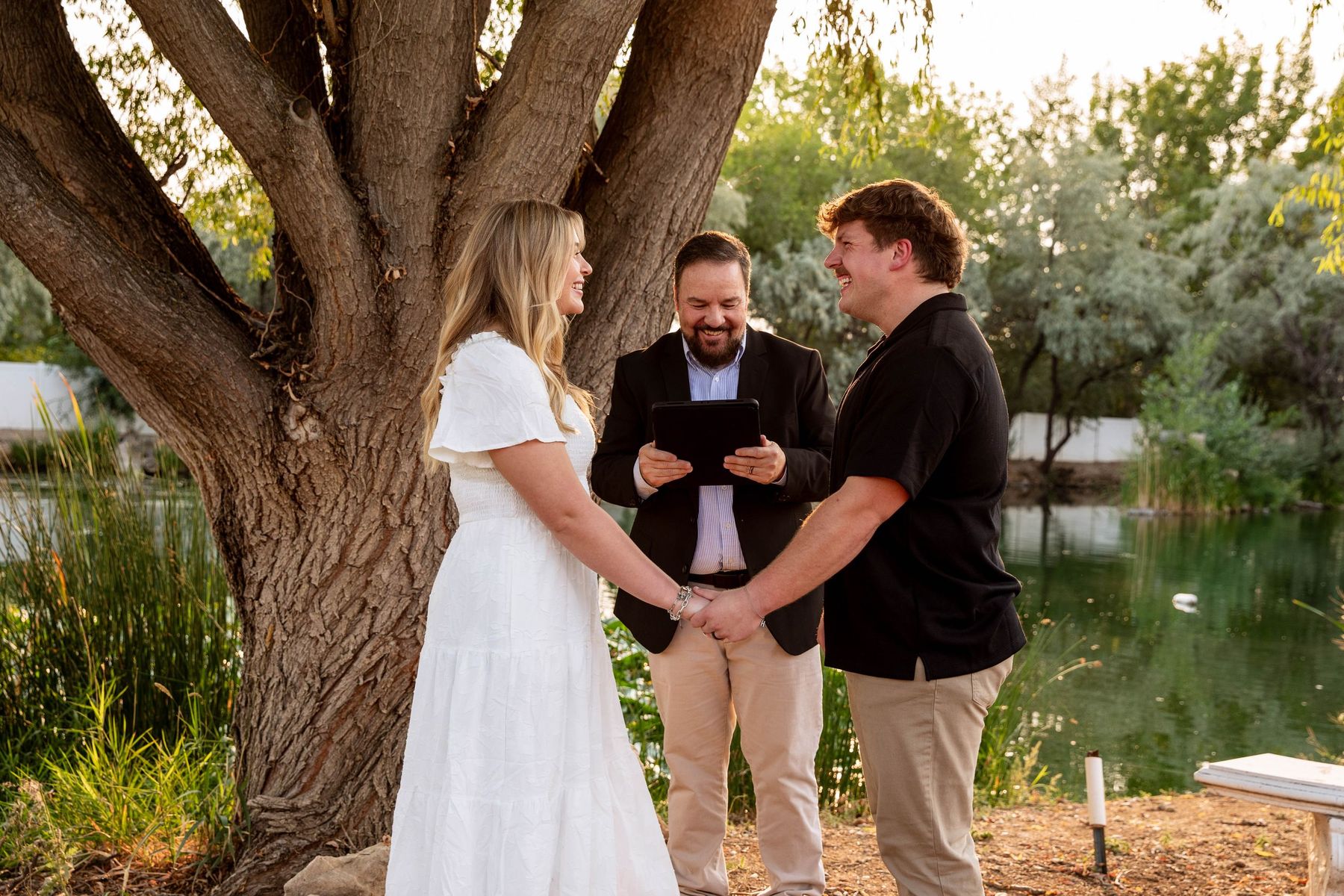 Bride and groom beneath a great tree at golden hour